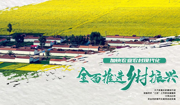 龙8-long8(国际)唯一官方网站